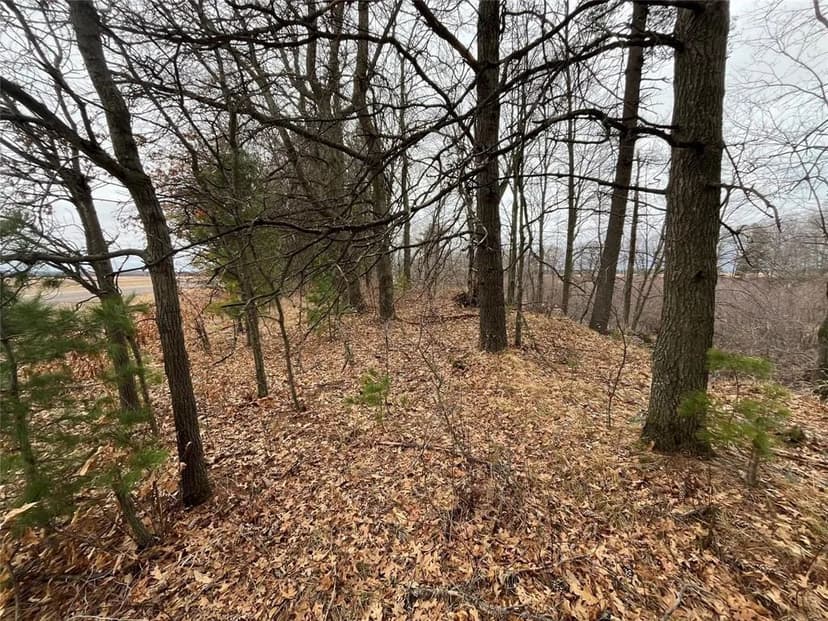 Vacant Land in New Auburn