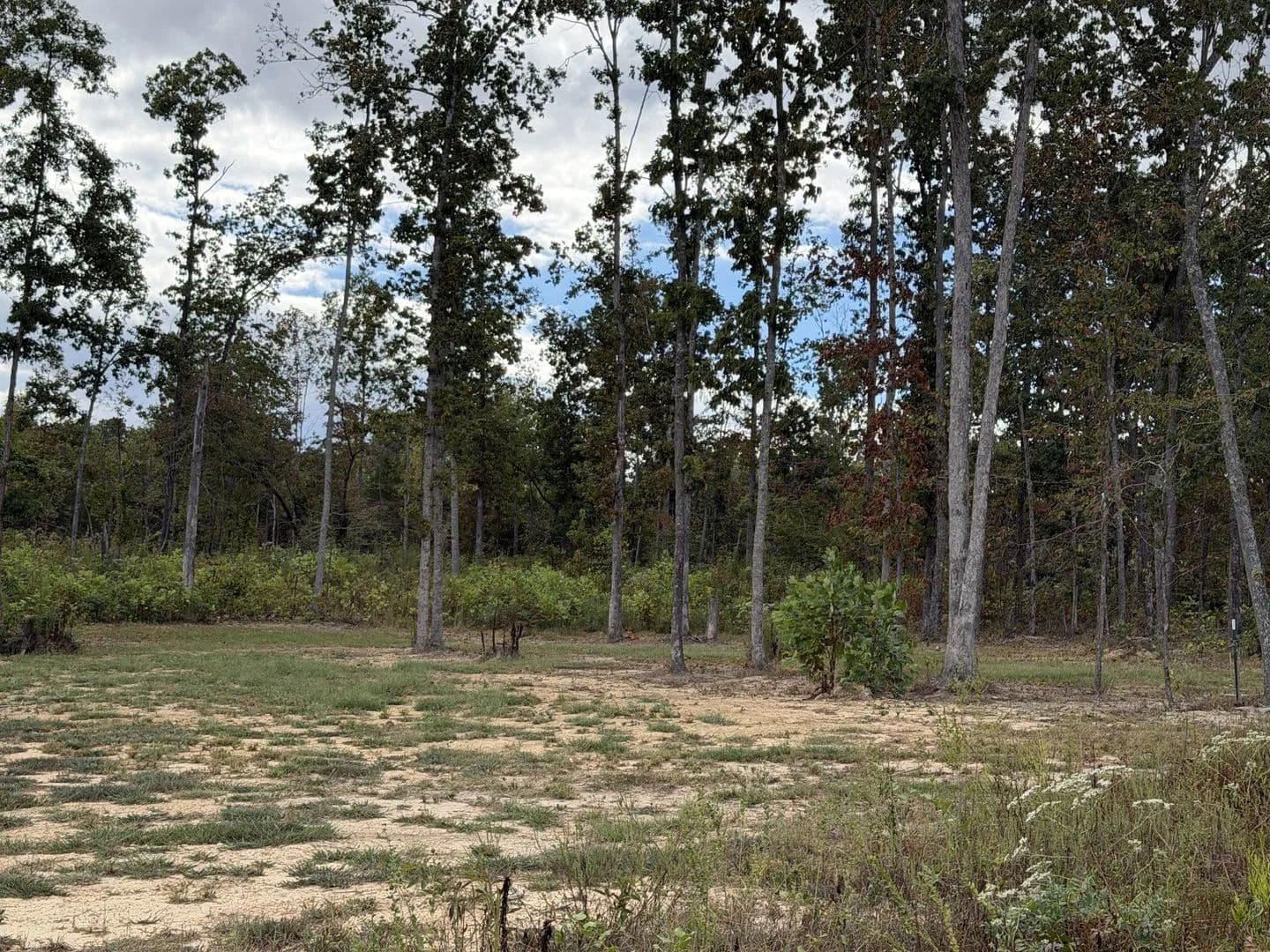 Lots & Land-Other in Wartrace - Wartrace, Tennessee, 37183