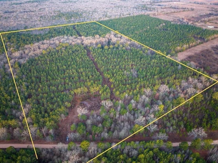 48 Acres | County Road 4320 | 3704