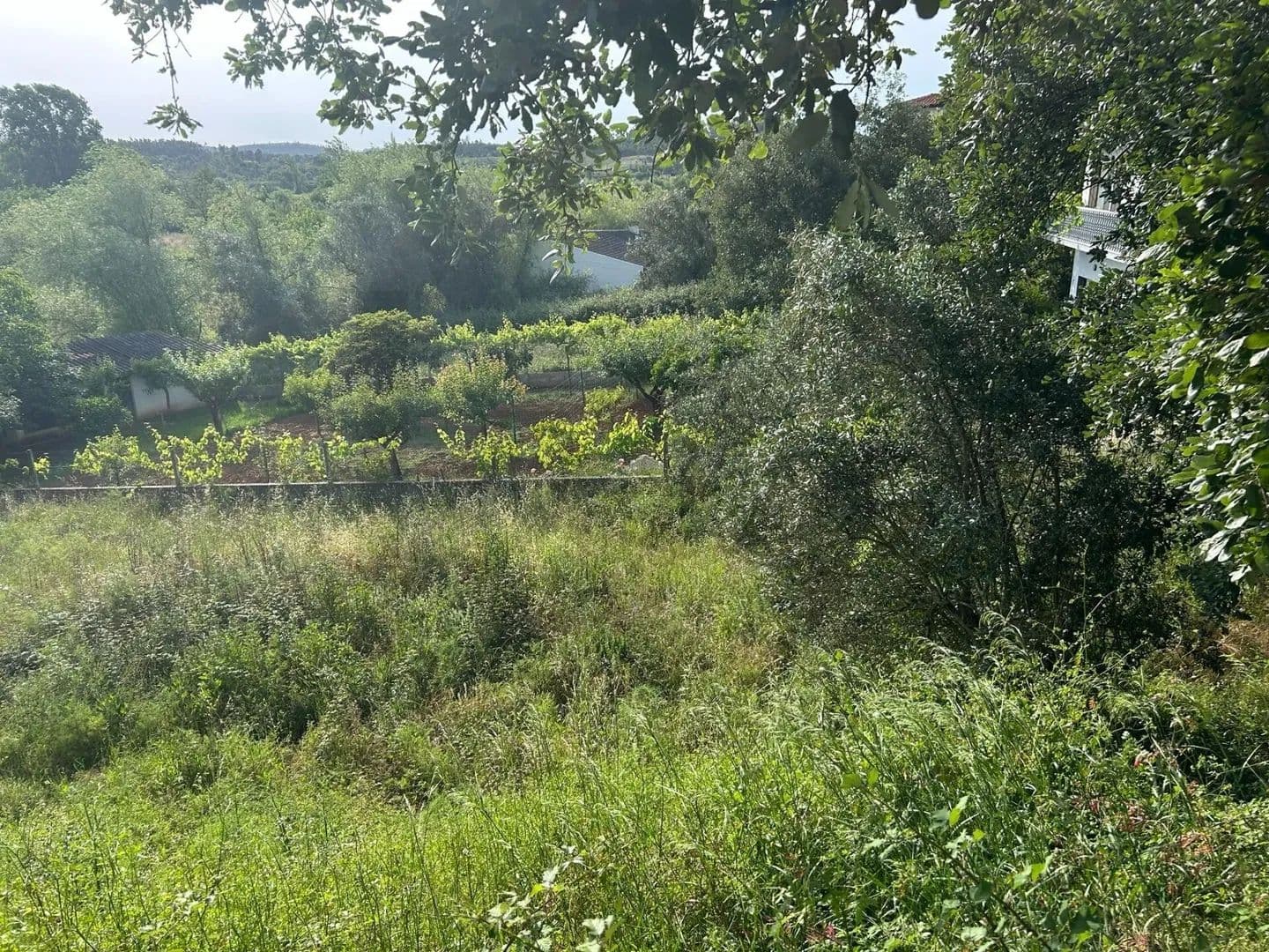 1040 Acres of Land for Sale in Soure, Soure - land for sale