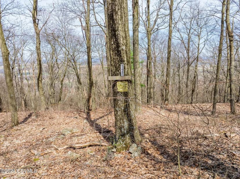 Lots & Land-Other in Catawissa