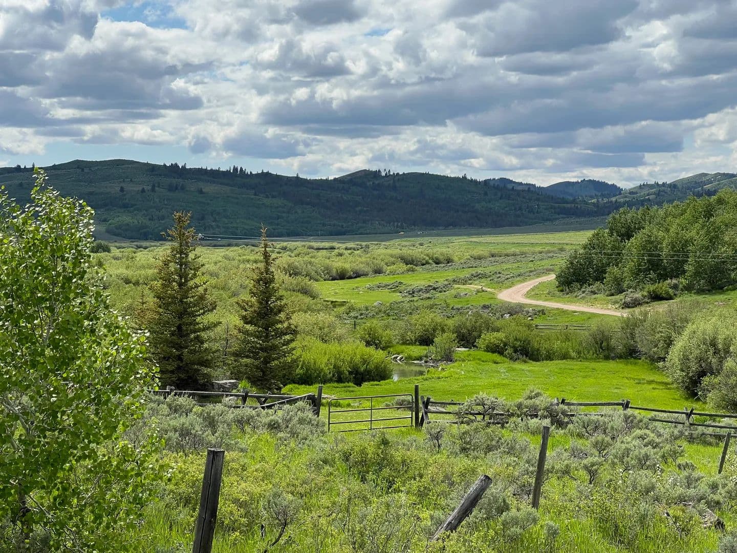 Jones Sellers  Creek Ranch - 