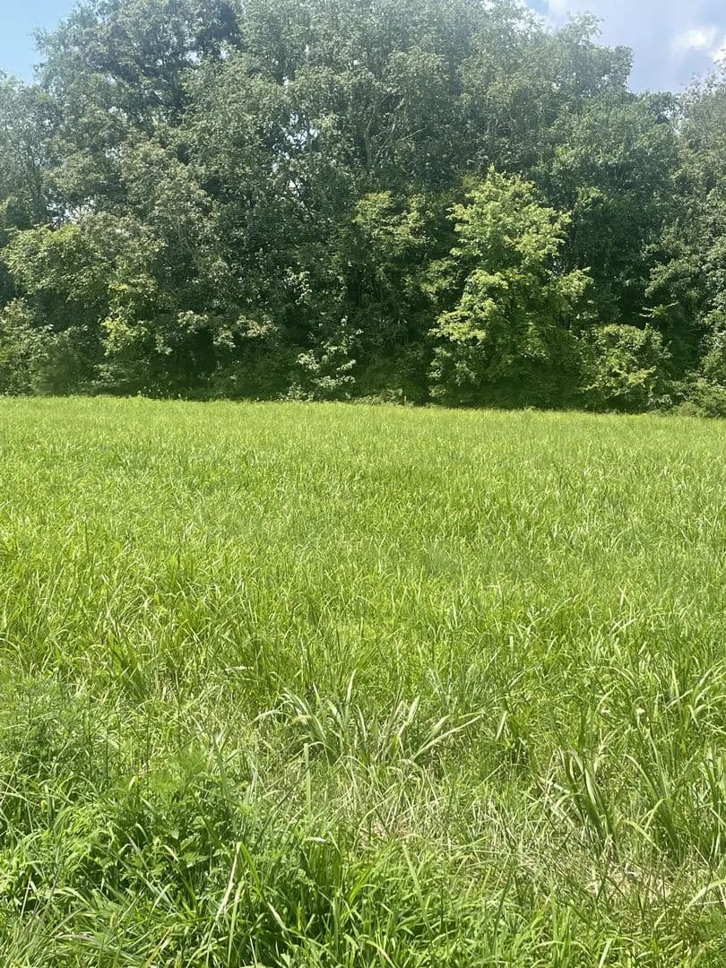 Lots & Land-Other in Winchester - Winchester, Tennessee, 37398