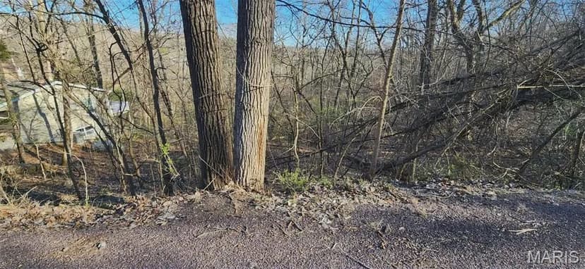 Vacant Land in Marthasville