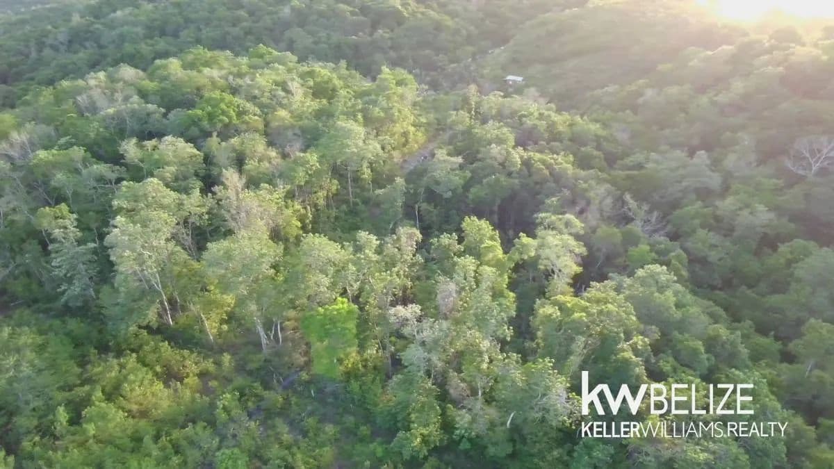 Jungle Lots Negroman Area Cayo District - land for sale