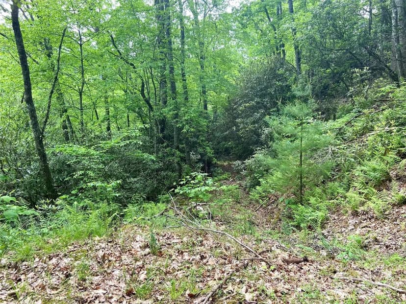 Property from Lot 10 Mystic Forest Way #10 - KW