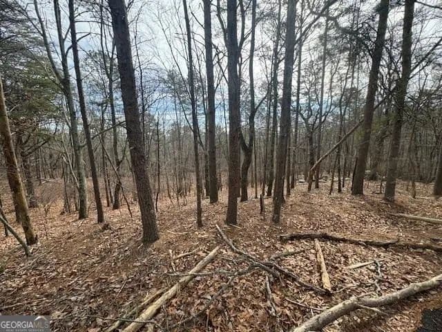 Property from 117 Leopard Court - KW