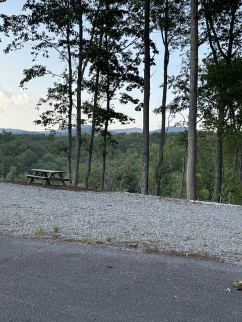Lots & Land-Other in Ellijay - Ellijay, Georgia, 30540