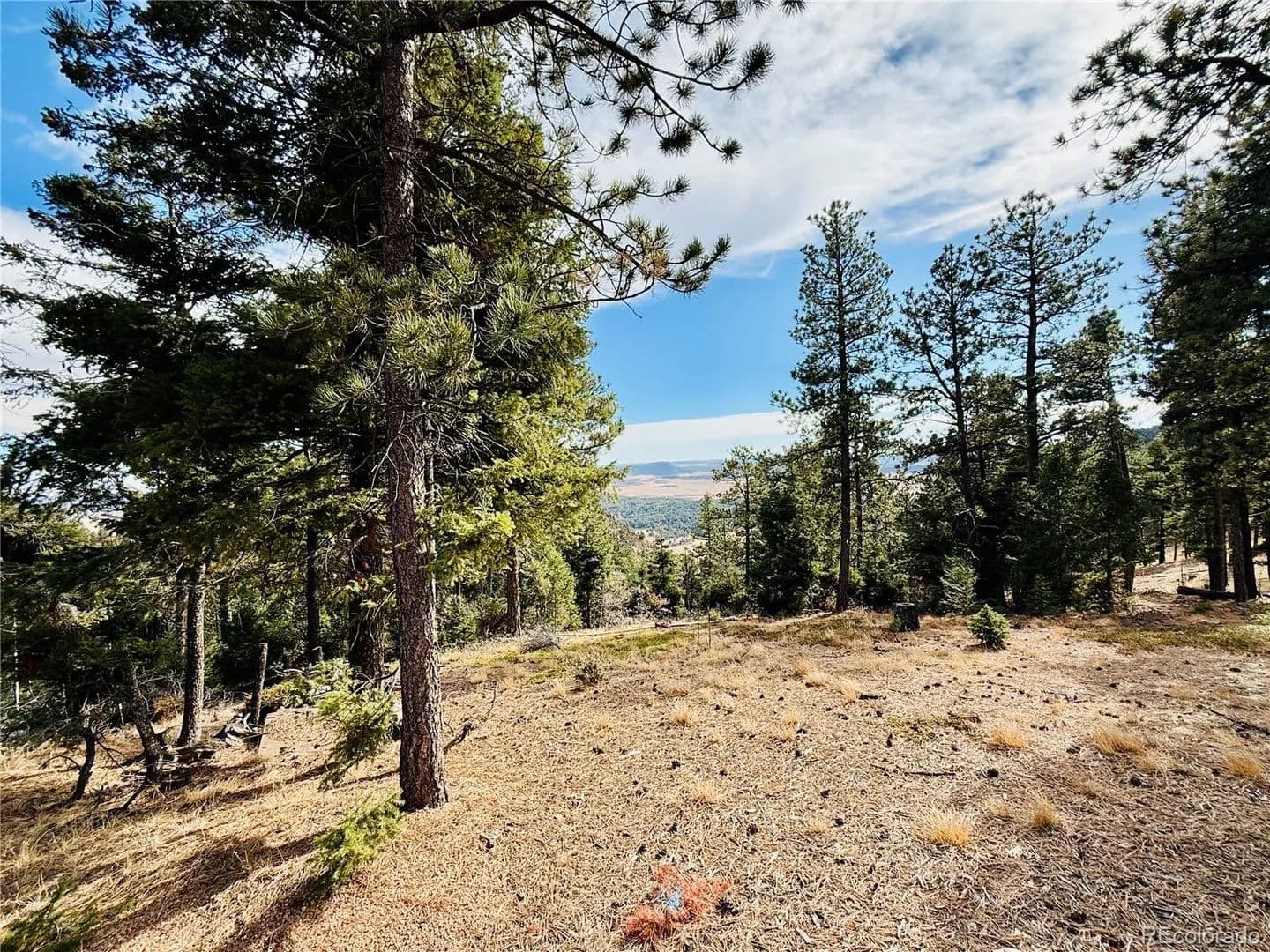 3.1 Acres of Land for Sale in Larkspur, CO - Larkspur, Colorado, 80118