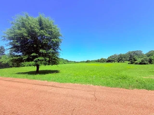 19.63 Acres on Union Church Road | Magnolia, MS  - Magnolia, Mississippi, 39652