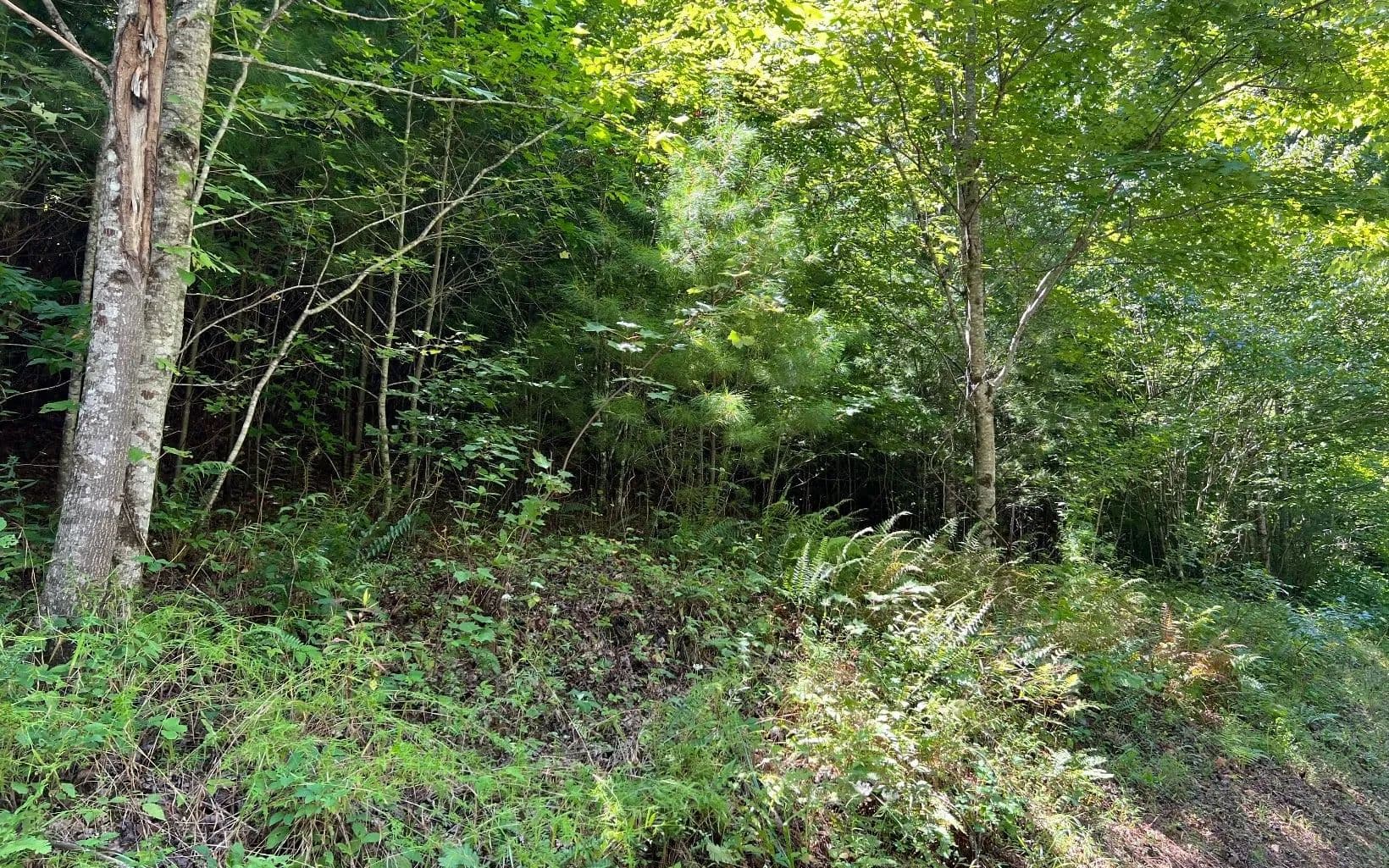 Lots & Land-Other in Hayesville - Hayesville, North Carolina, 28904