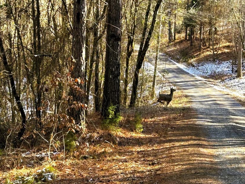 Property from Tract 1 Redman Ridge Lane - KW