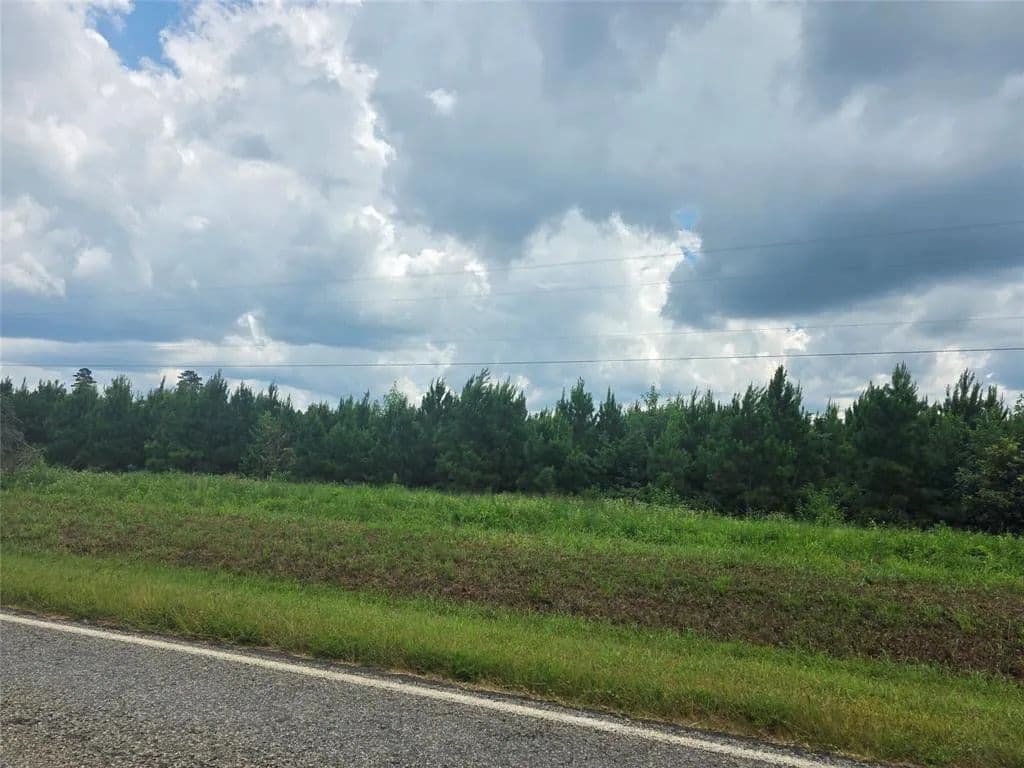 Vacant Land in Plain Dealing - Plain Dealing, Louisiana, 71064