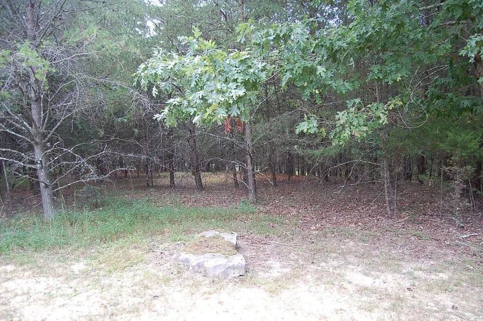 Land -Agricultural (Not Zoned) in Dunlap - Dunlap, Tennessee, 37327