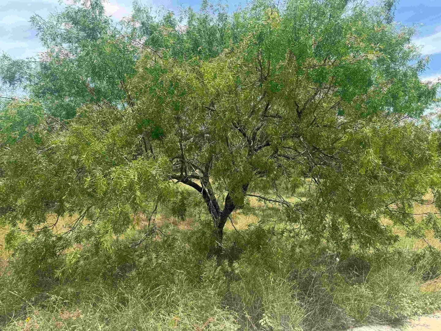 0.12 Acres of Land for Sale in Horseshoe Bay, Texas - Horseshoe Bay, Texas, 78657