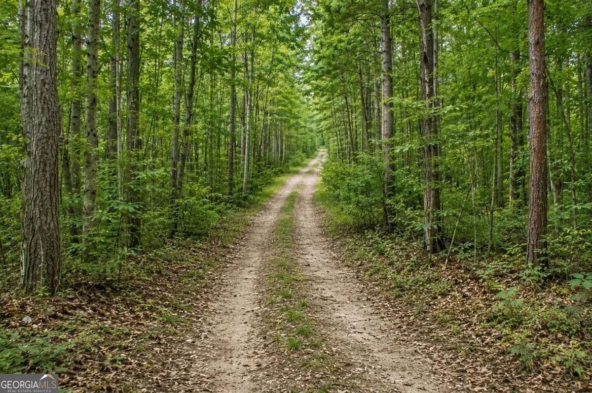 0.85 Acres of Land for Sale in Dawsonville, GA - Dawsonville, Georgia, 30534