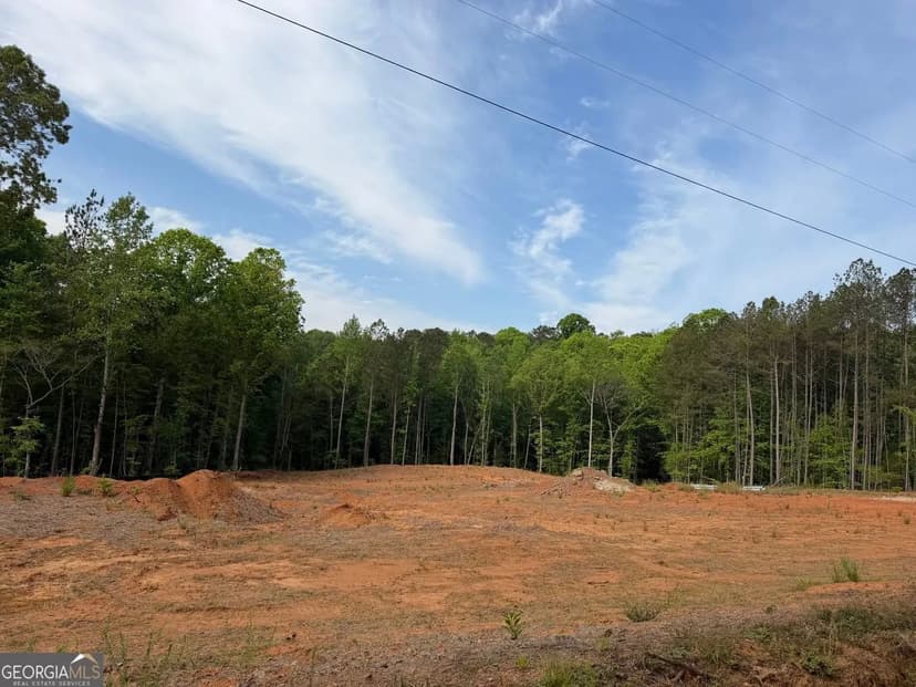 Lots & Land-Other in Forsyth