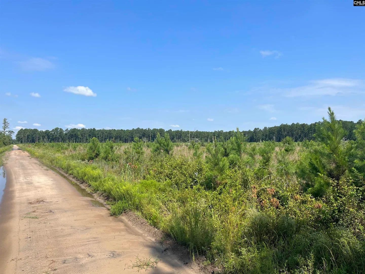 Vacant Land in Orangeburg - Orangeburg, South Carolina, 29115