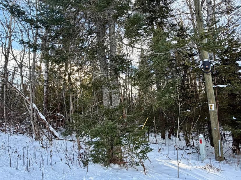 Vacant Land in Cheboygan