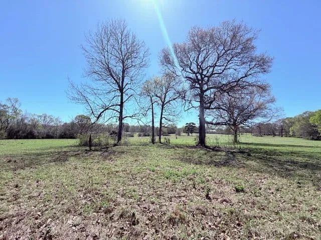 36.29 Acres Pastureland/ Kentwood/ LA / 70444
