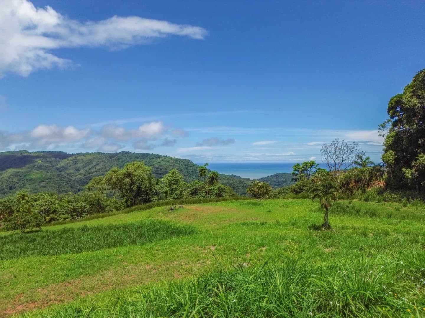 Vacant Land in Dominical - land for sale