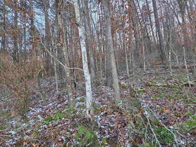 Land -Agricultural (Not Zoned) in Louisa - Louisa, Kentucky, 41230