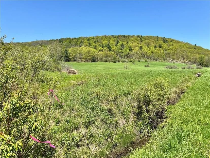 Land -Single Family Acreage in Cobleskill