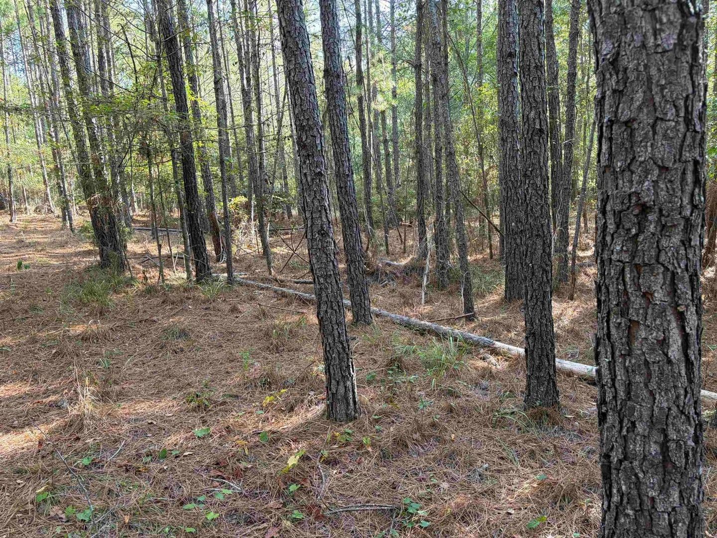 Lots & Land-Other in Eatonton - Eatonton, Georgia, 31024