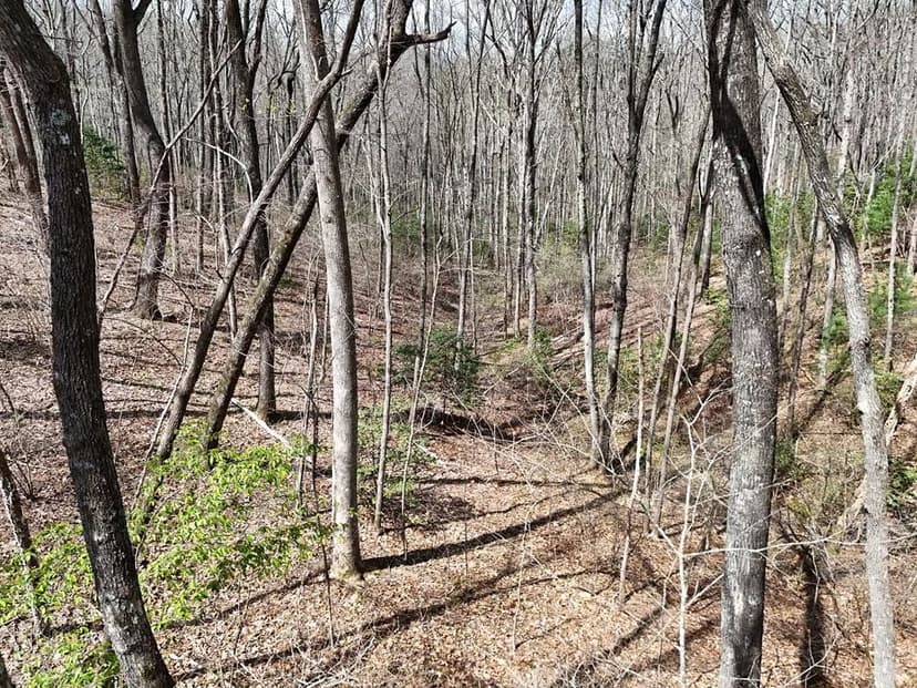 Lots & Land-Other in Blue Ridge