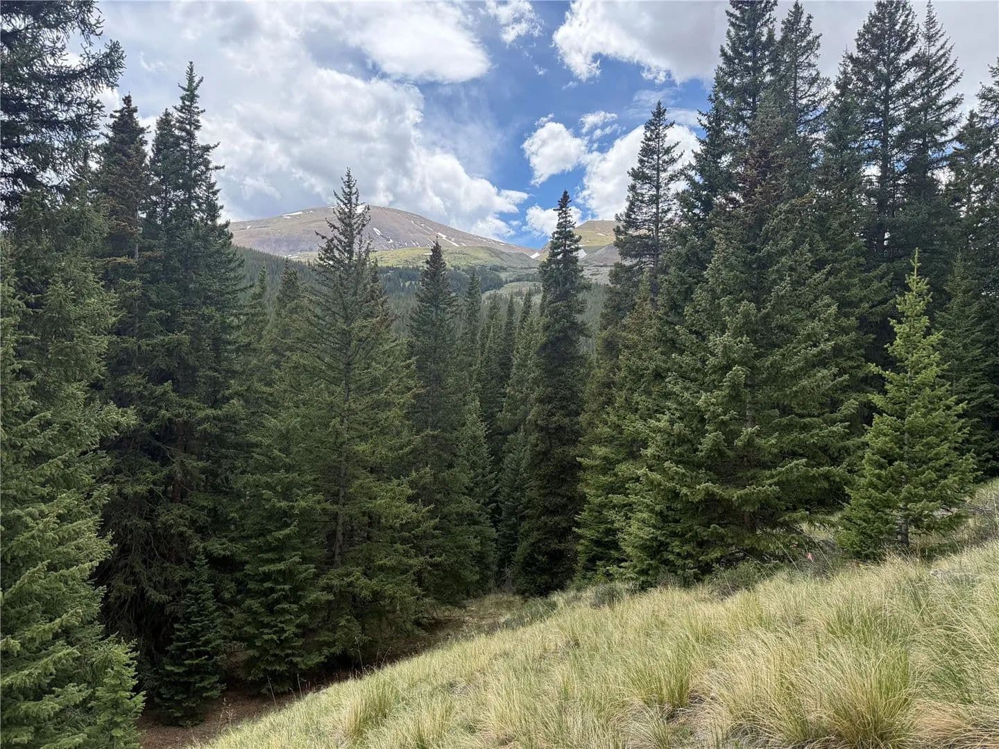3.3 Acres of Land for Sale in Alma, CO - Alma, Colorado, 80420