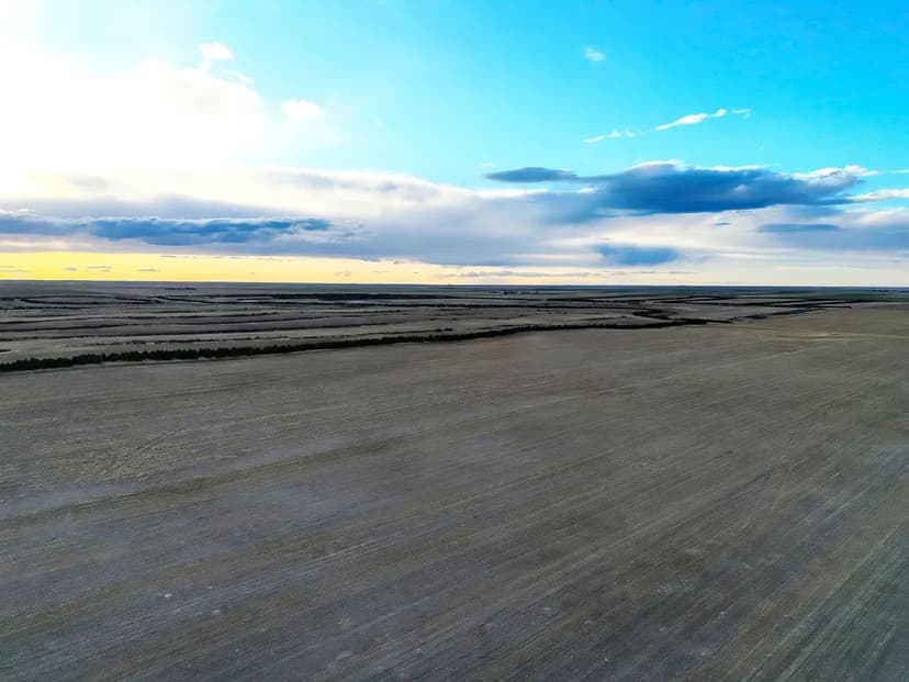 Quarter Section of Cropland with Recreational Opportunities