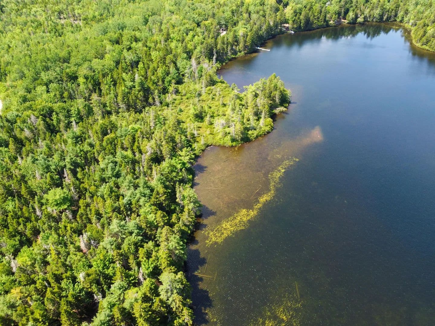 Vacant Land in Robbinston - Robbinston, Maine, 04671