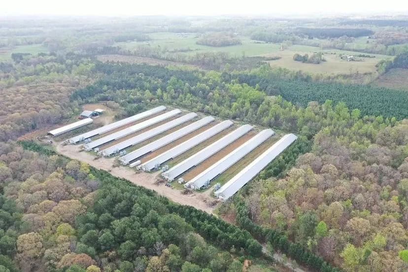 Arey Broiler Farm – Eight House Farm in Cleveland County, North Carolina