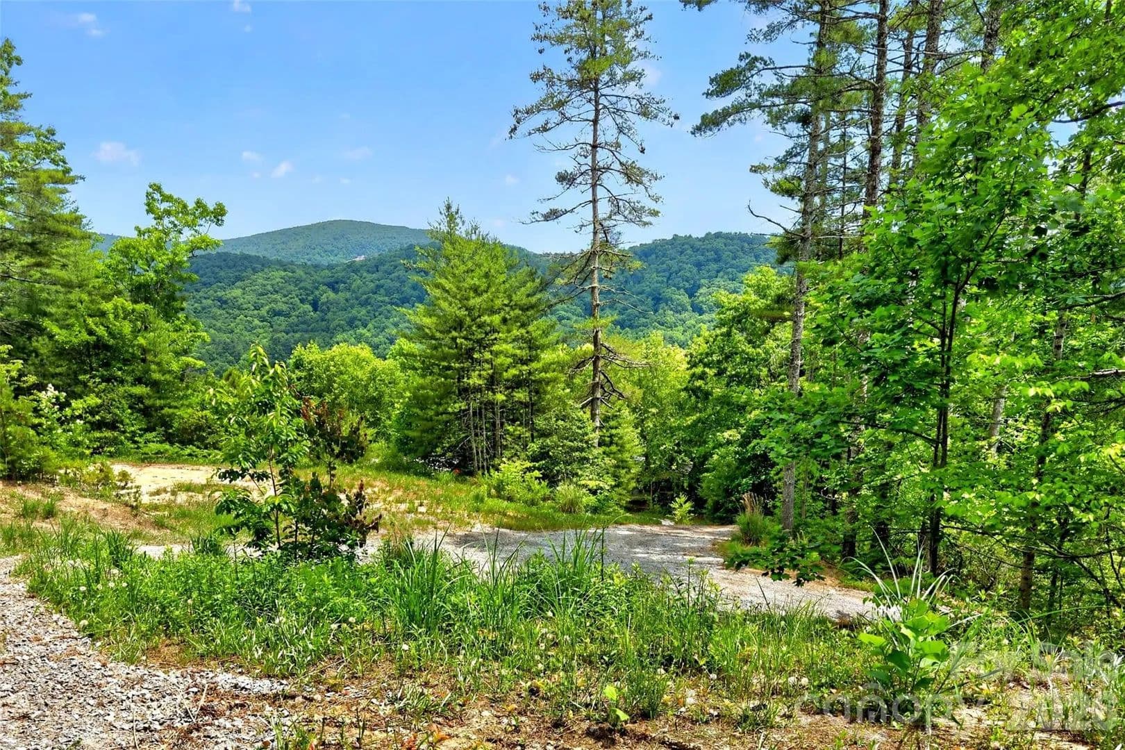 22 Acres of Land for Sale in Hendersonville, North Carolina - Hendersonville, North Carolina, 28739