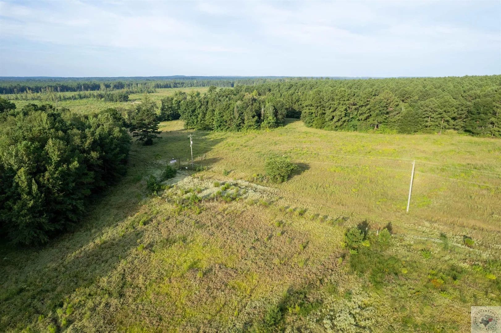 Vacant Land in Atlanta - Atlanta, Texas, 75551