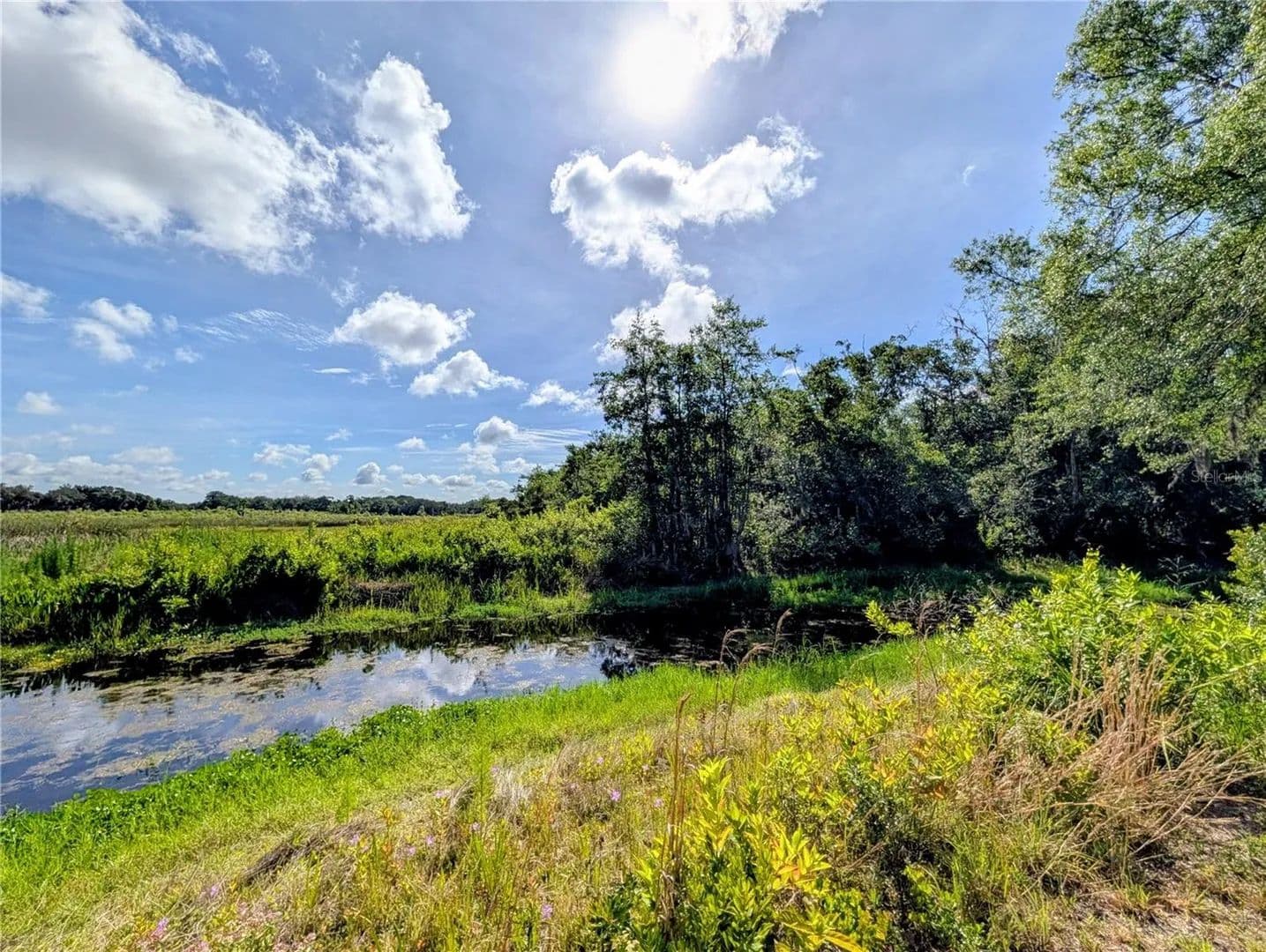 Property from 1495 N TORO DRIVE - KW - Inverness, Florida, 34453