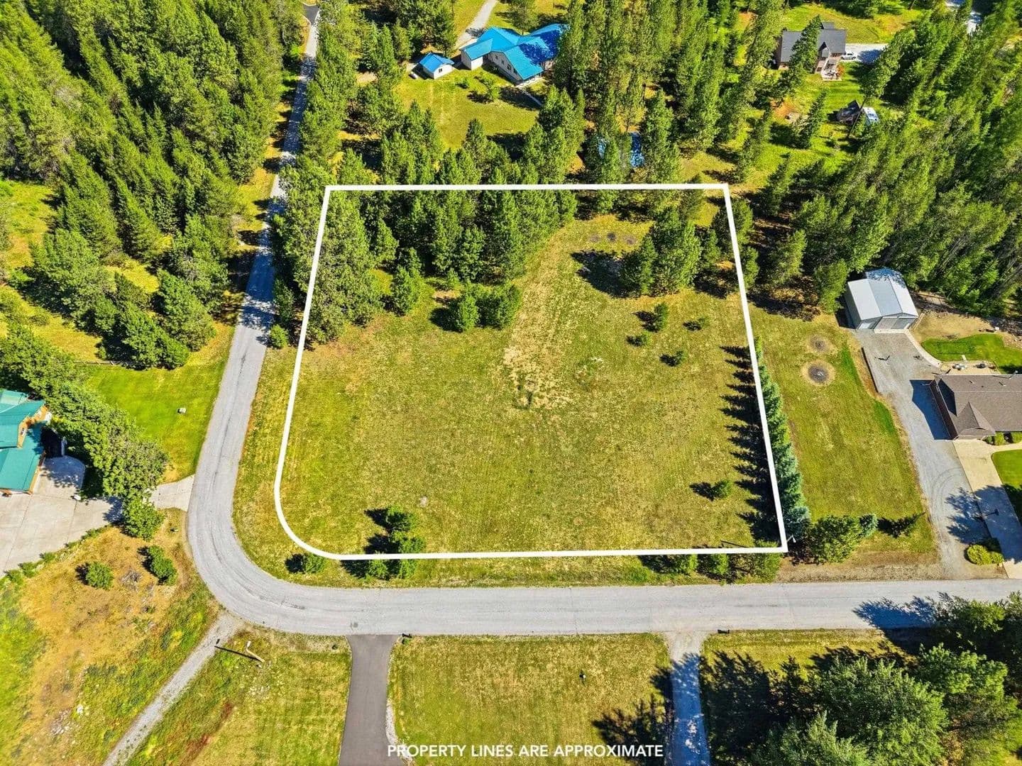 Vacant Land in Newport - Newport, Washington, 99156