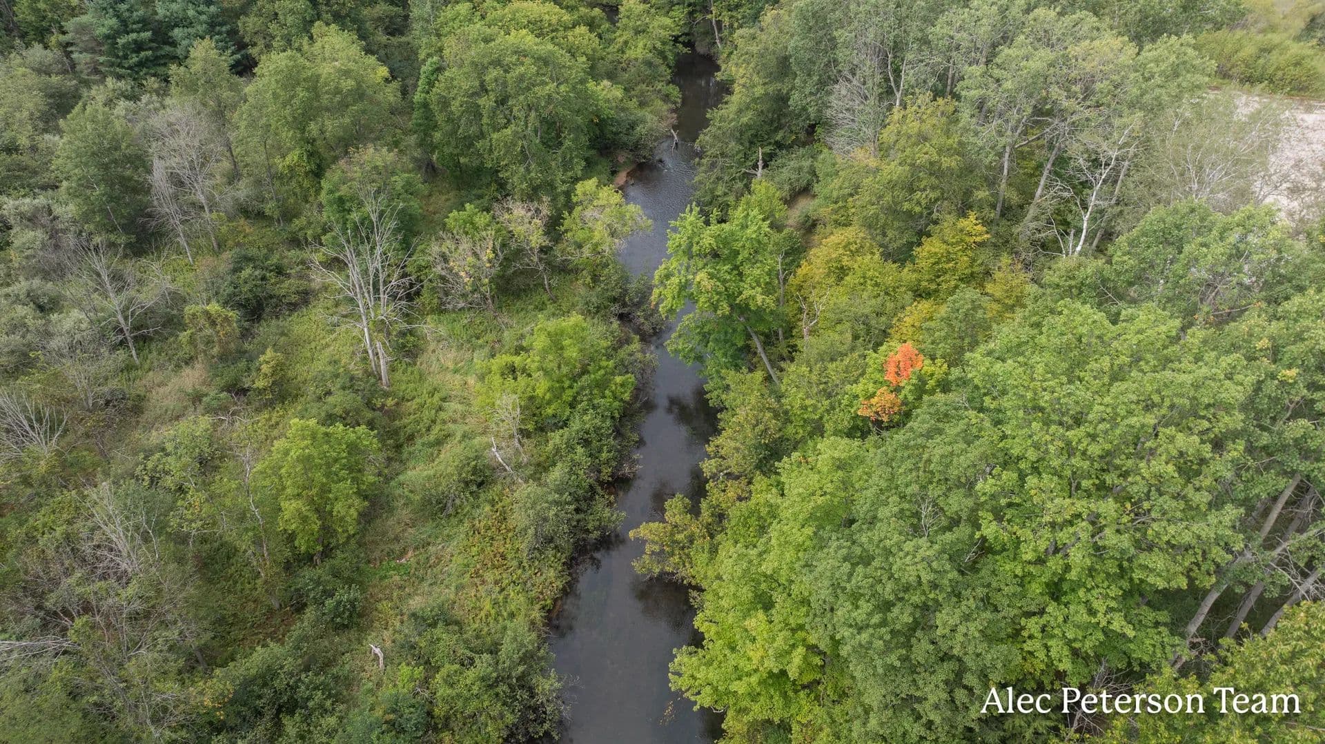 Vacant Land in Reed City - Reed City, Michigan, 49677