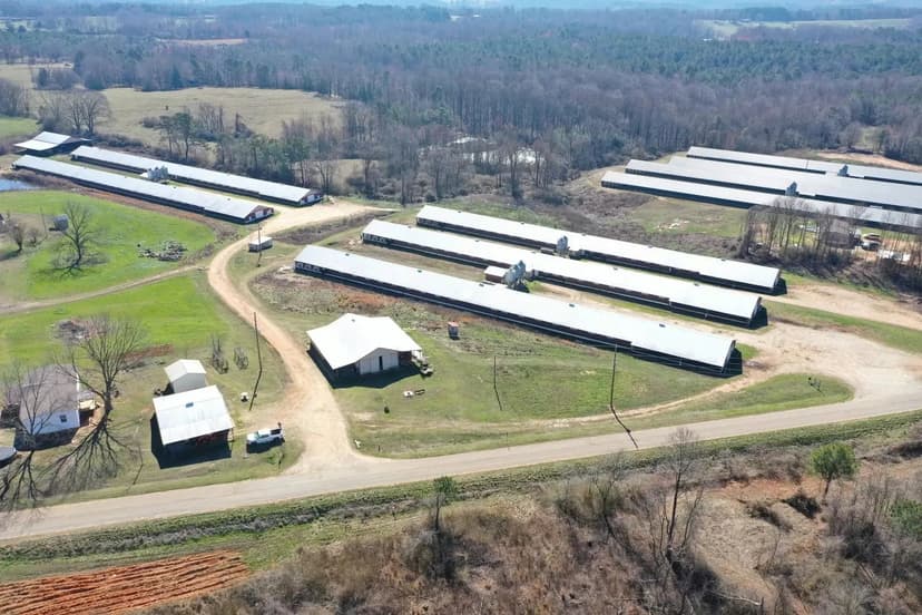 LiLi Broiler Farm – Five House Farm in Randolph County, Alabama