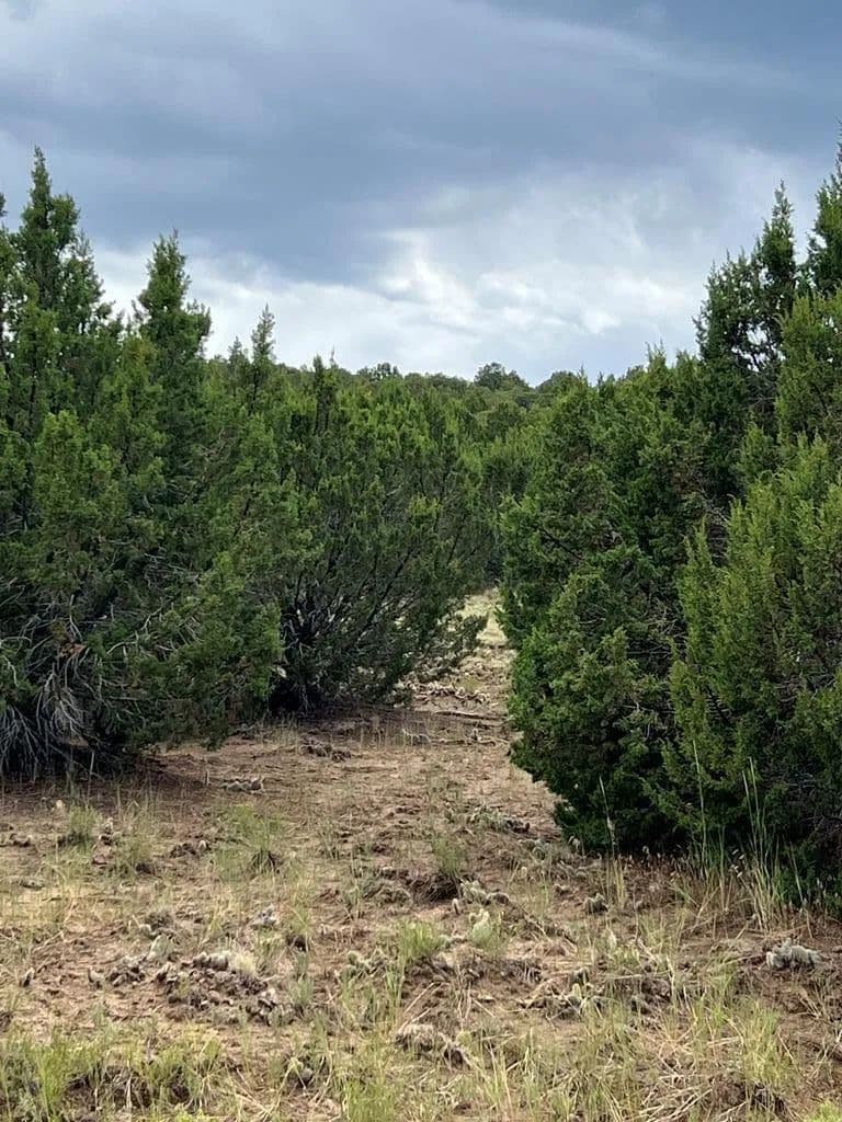 Vacant Land in Walsenburg - Walsenburg, Colorado, 81089