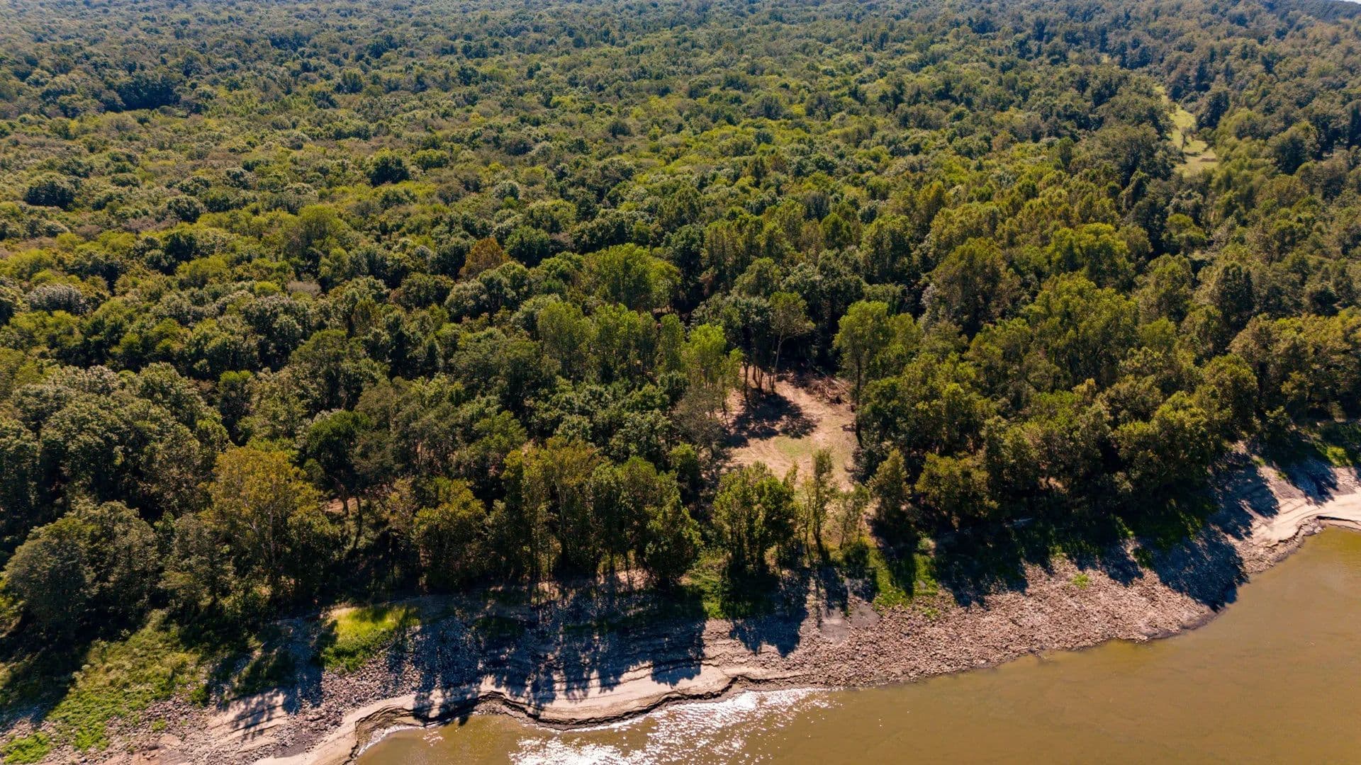 Mississippi River Duck and Deer Hunting With Camp Site in Wilkinson County - Woodville, Mississippi, 39669