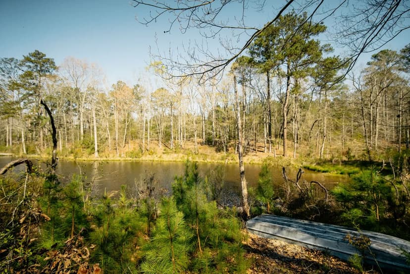 88 Acres Simpson County, MS 