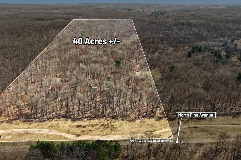Lots & Land-Other in Big Rapids