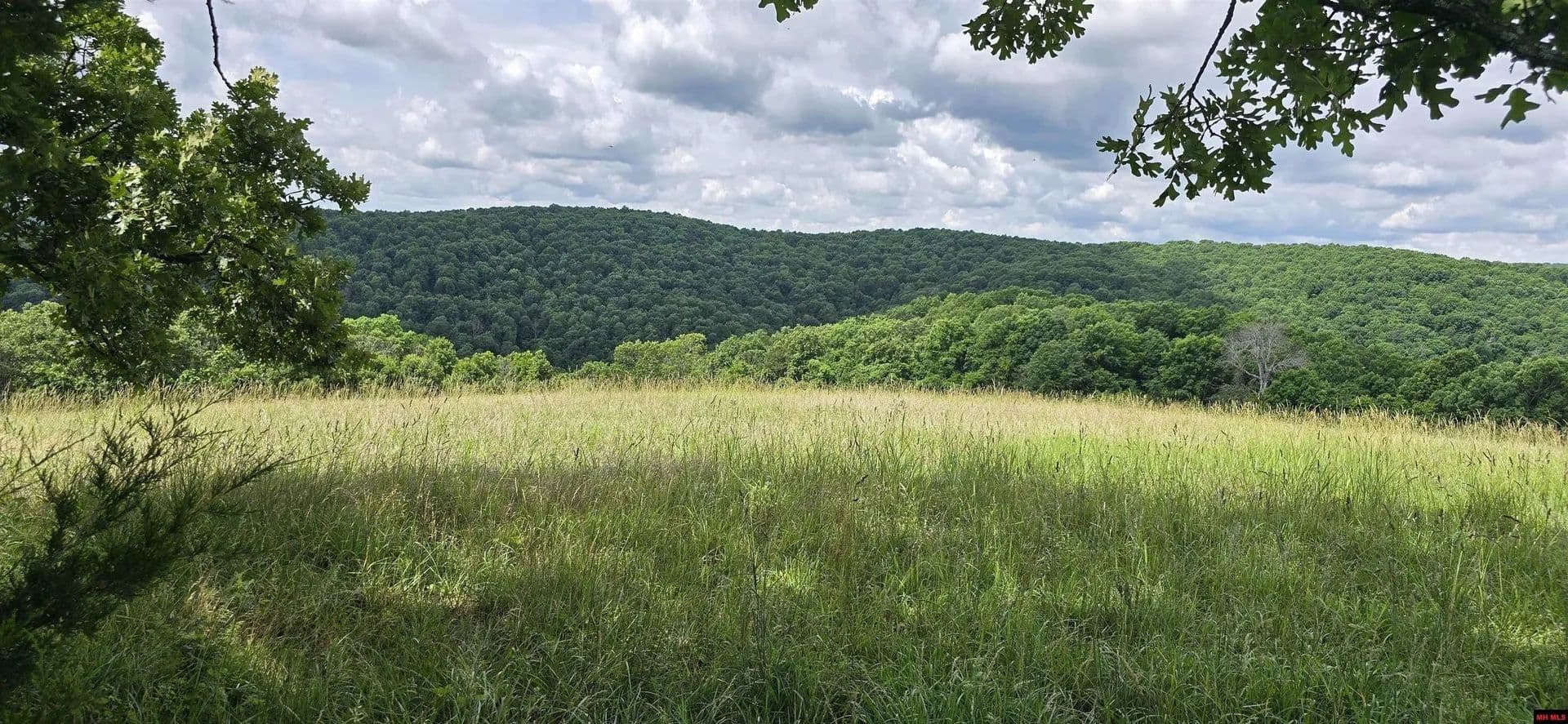 Lots & Land-Other in Flippin - Flippin, Arkansas, 72634