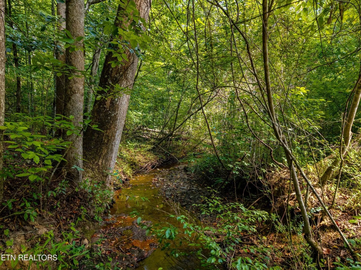 Vacant Land in Townsend - Townsend, Tennessee, 37882