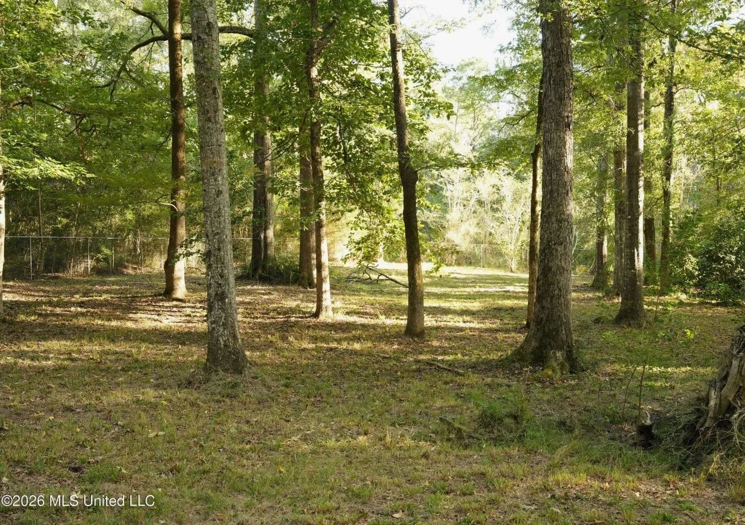3.5± Acres for Home or Business Near Summit, MS - Summit, Mississippi, 39666