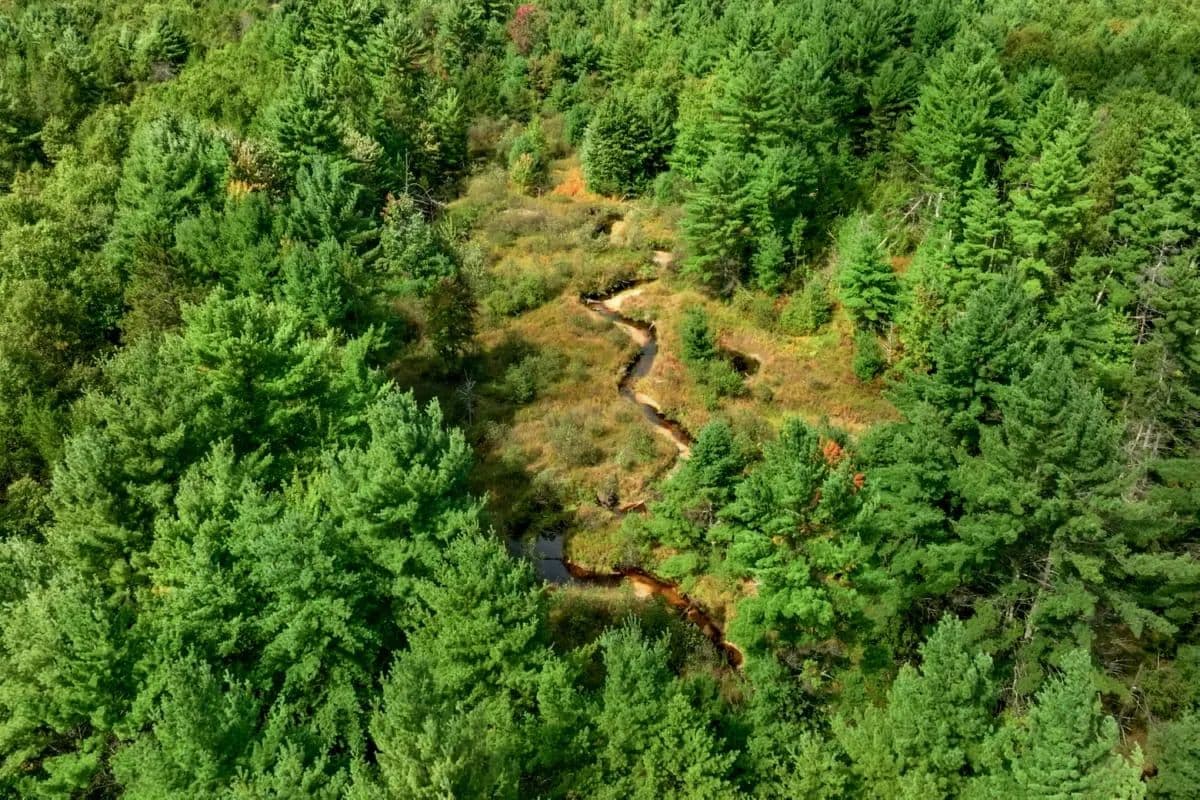 160+/- acres of Western Wisconsin hunting property Eau Claire Cty - Augusta, Wisconsin, 54729