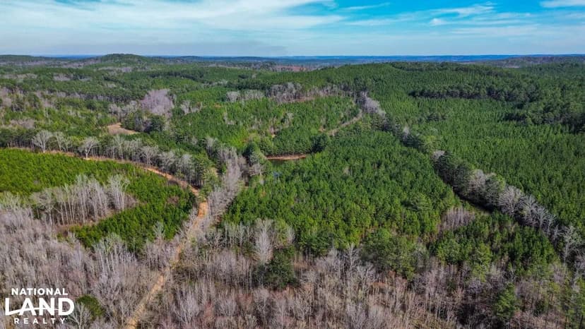 Plantersville Hunting Pond and Timber Investment