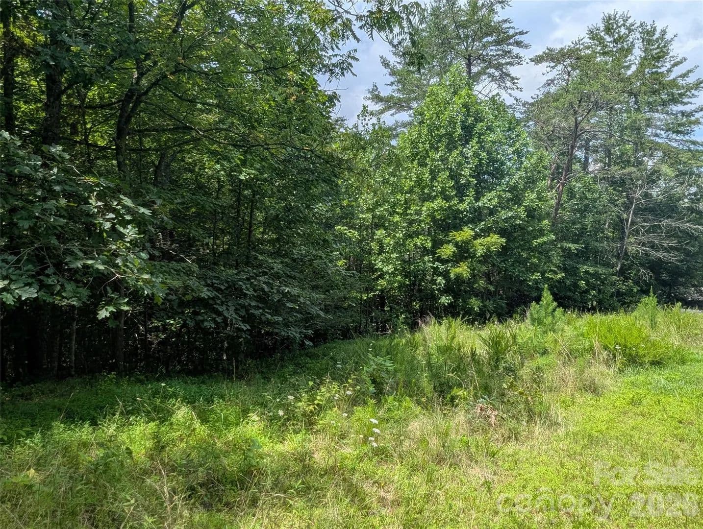 Lots & Land-Other in Marshall - Marshall, North Carolina, 28753