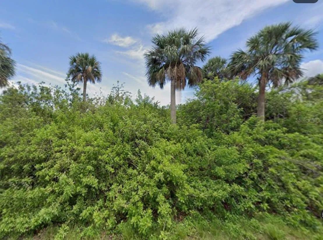 Lots & Land-Other in PORT CHARLOTTE - Port Charlotte, Florida, 33953
